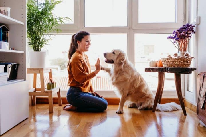 media-astuces-animaux-propre-maison-garder