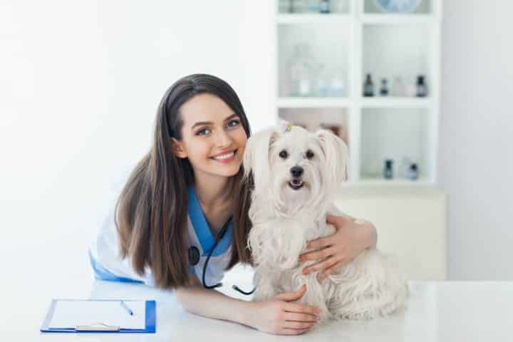 media-veterinaires-rembourses