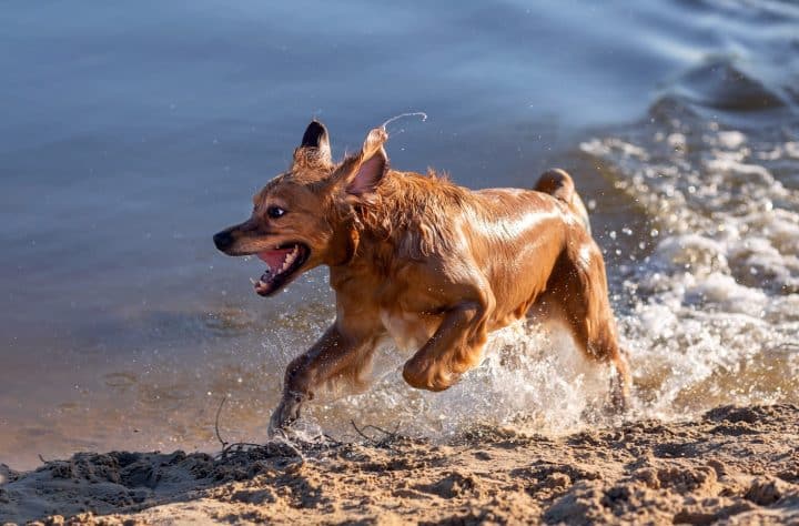 Dn7vlufkuxusib4clqnp