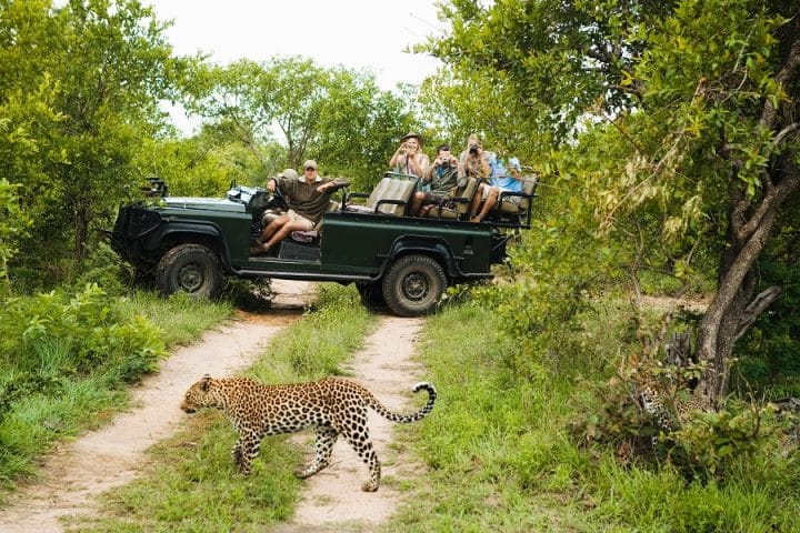 Tout savoir sur le parc kruger en afrique du sud