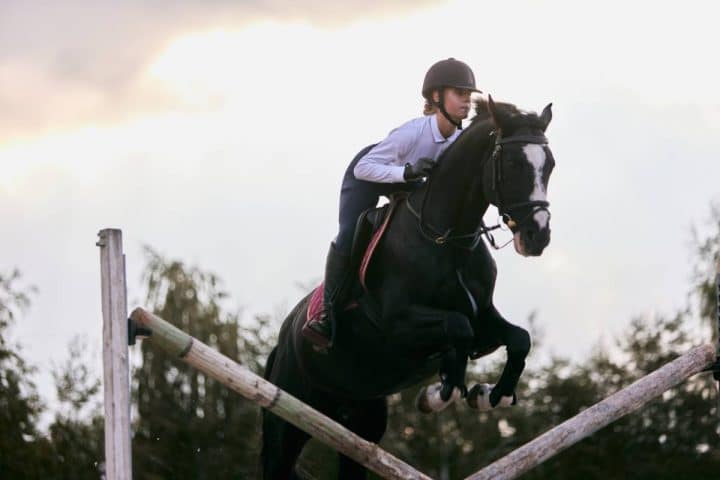 Quel équipement pour votre cheval en concours ?