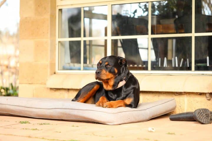 3sh33a44lx1az5ogrpu0 jpg