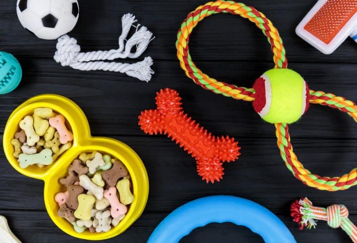 tendance accessoires pour chien