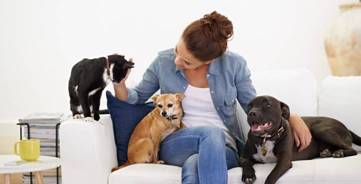 Concevoir sa marque de croquettes pour chat et chien