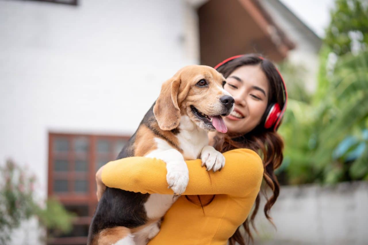 allergies alimentaires chiens