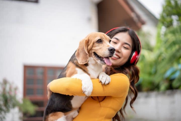 allergies alimentaires chiens