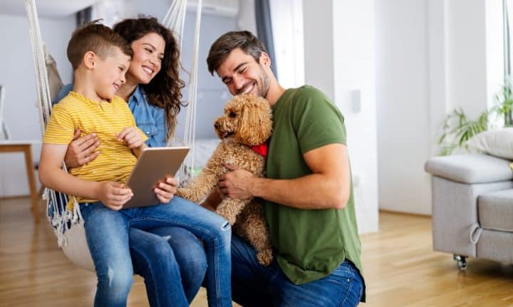 Concilier travail, famille et éducation canine