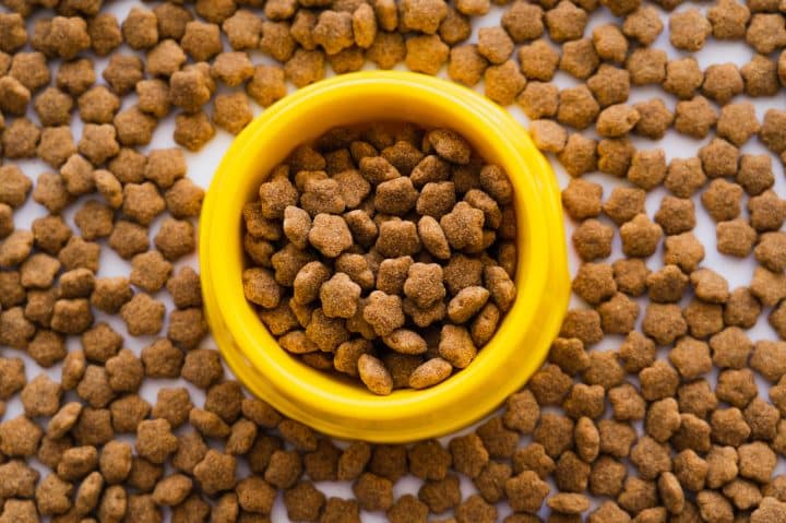 croquettes adaptées pour chien