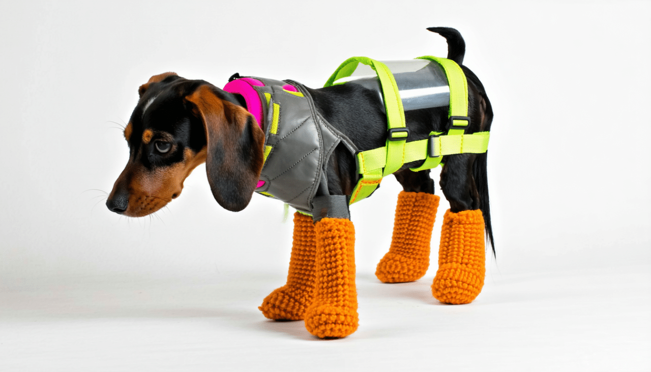 découvrez comment fabriquer un support de gamelle pour chien pratique et ergonomique, adapté à tous les besoins de votre compagnon. suivez nos conseils étape par étape pour créer un accessoire sur mesure qui facilitera les repas de votre fidèle ami.