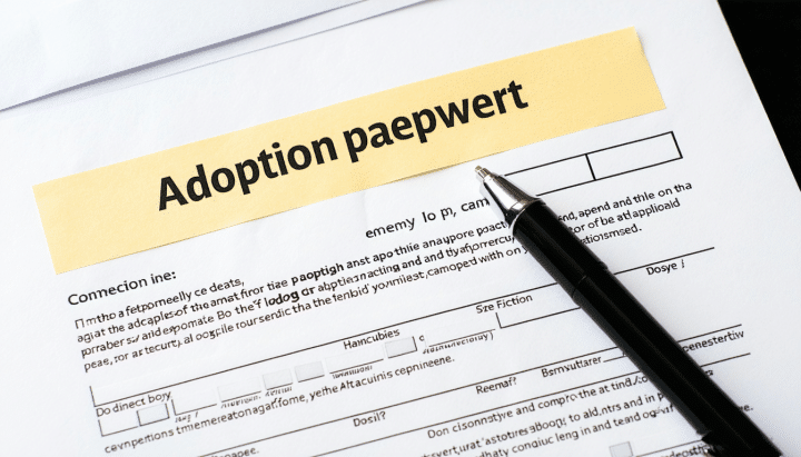 découvrez comment adopter un adorable shih tzu en rhône-alpes grâce à nos conseils pratiques et à un guide des démarches à suivre. offrez un foyer chaleureux à ce compagnon fidèle et affectueux.