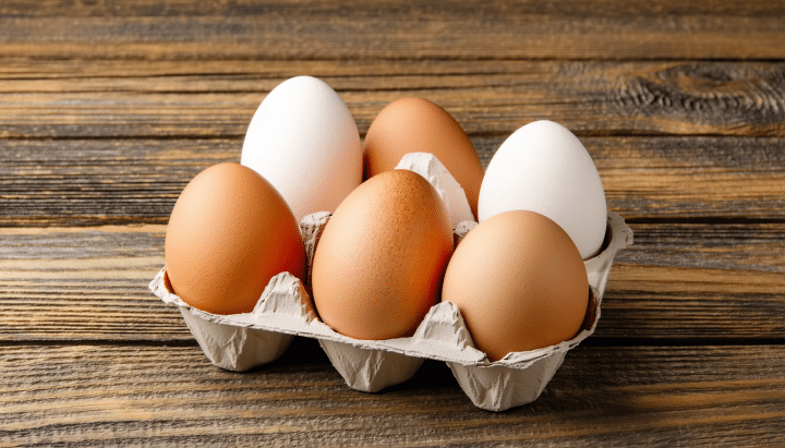 découvrez comment la ferme de la plume d'or élève des poules pondeuses dans le respect du bien-être animal: plein air, alimentation saine, habitats spacieux.