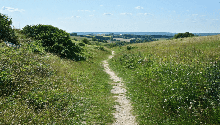 découvrez les activités animales passionnantes aux vergers de vendée st hilaire des loges ! notre guide pratique unique vous accompagne pour explorer la faune locale, participer à des ateliers interactifs et vivre des moments inoubliables en famille ou entre amis. plongez dans l'univers fascinant des animaux au cœur de la nature vendéenne.