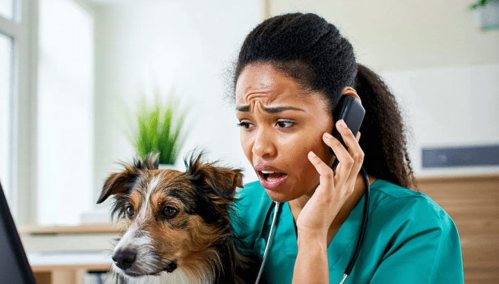 votre chien a avalé des noyaux de cerises ? découvrez les dangers potentiels pour sa santé, les symptômes à surveiller et les gestes d'urgence à adopter pour le protéger rapidement.