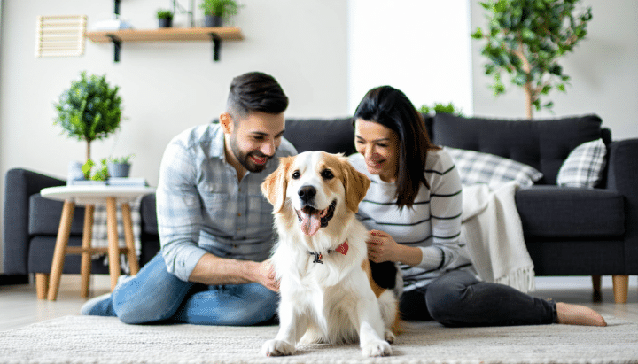 découvrez quelle race de chien est idéale pour vivre en appartement avec une famille dynamique. conseils et recommandations pour trouver le compagnon parfait adapté à votre style de vie actif.