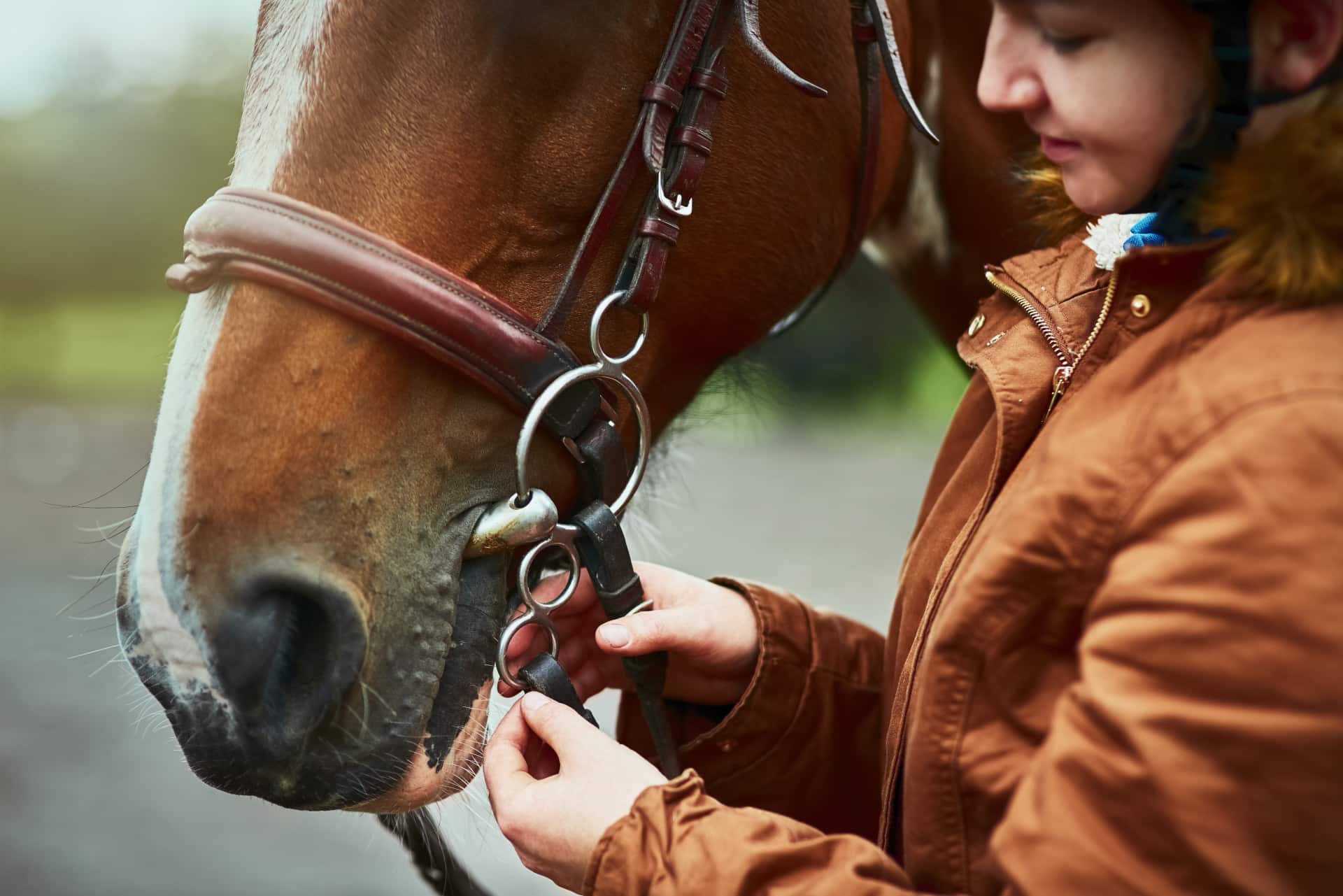 Cheval Paso Banque d'image et photos - Alamy