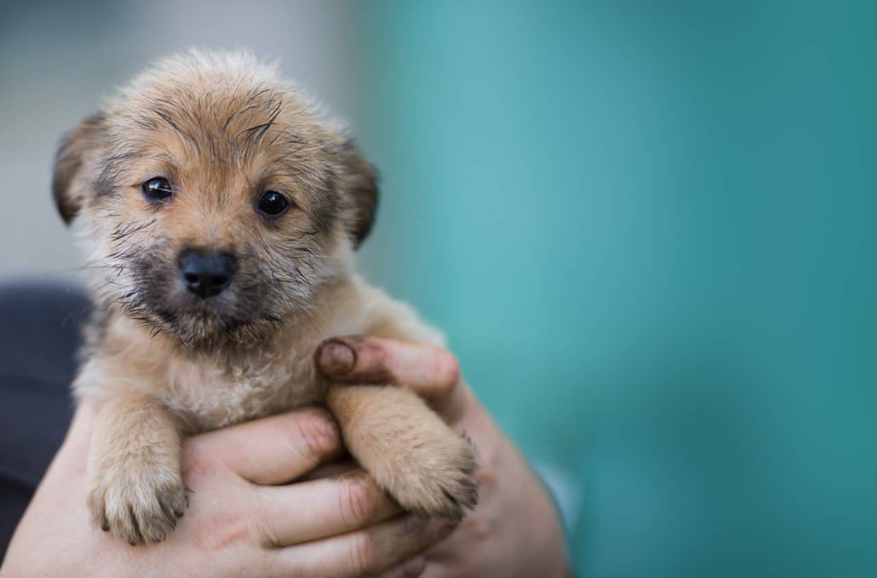 Fs6q0gcefhygbbyw58pn