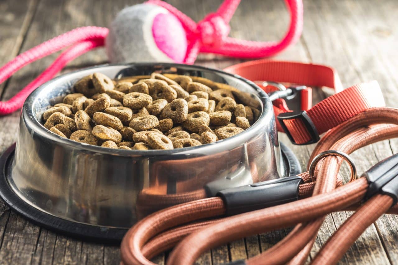croquettes sans cereales chien