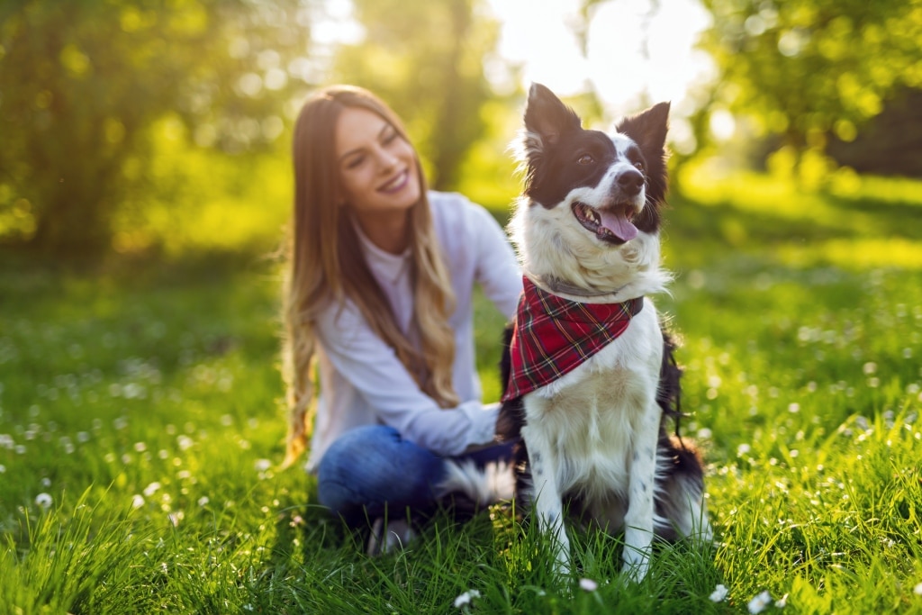 prendre soin chien en ete