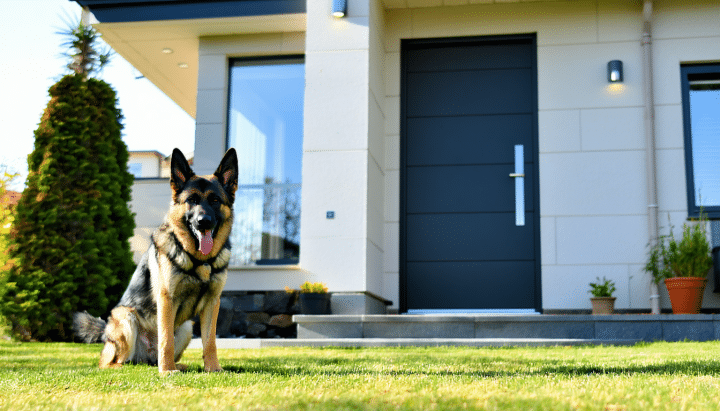 découvrez quelle race de chien de garde est idéale pour protéger efficacement une grande propriété familiale, en alliant sécurité, fidélité et tempérament adapté.