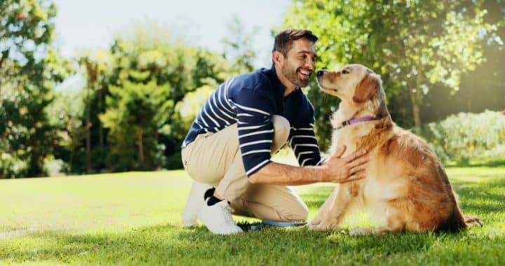 devenir educateur canin comportementaliste