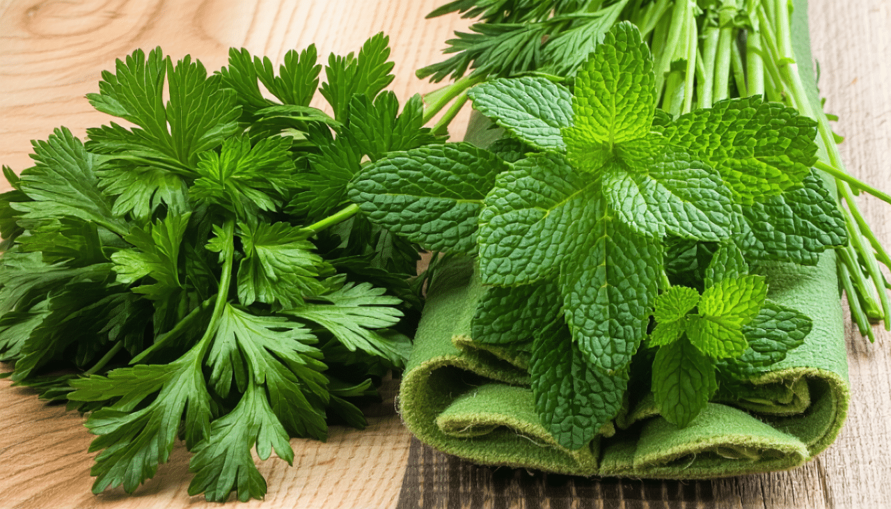 découvrez des astuces de grand-mère efficaces et naturelles pour combattre la mauvaise haleine de votre chien et préserver sa santé bucco-dentaire au quotidien.