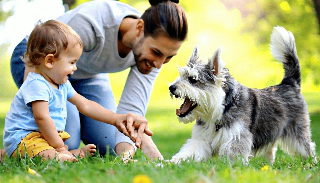 découvrez quelle race de chien commençant par la lettre e est parfaite pour les familles avec enfants, alliant douceur, énergie et compagnie idéale.