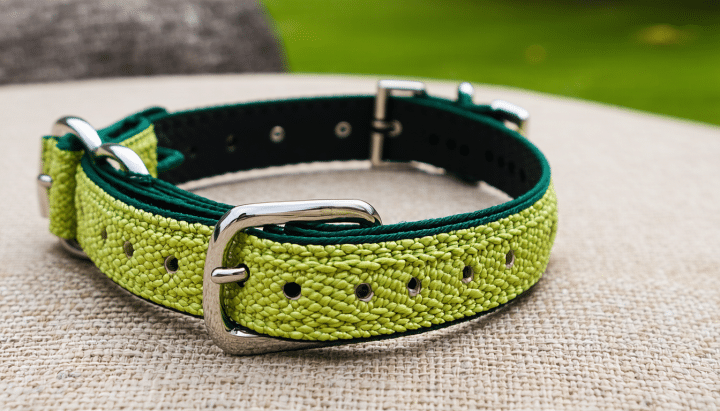 découvrez notre collier pour chien à la citronnelle, une solution naturelle et douce pour éloigner efficacement les nuisibles tout en protégeant votre compagnon.