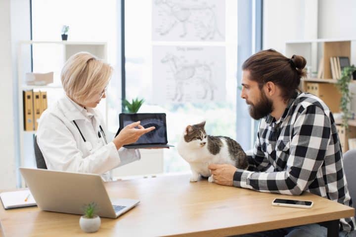 Veterinaire IA
