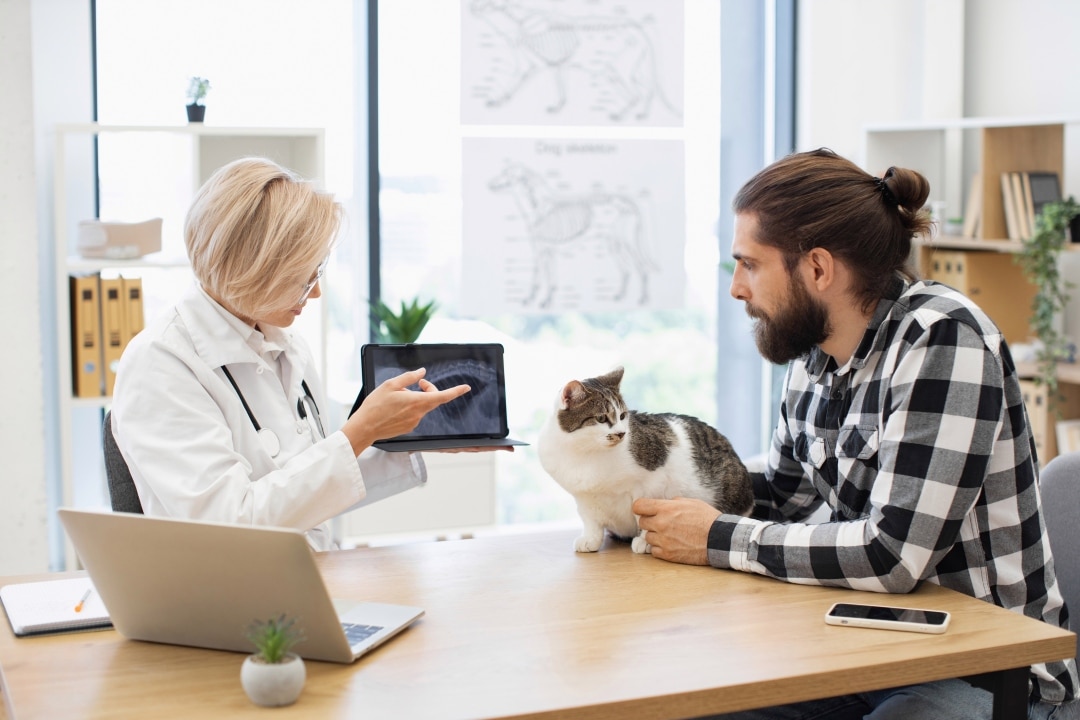 Veterinaire IA