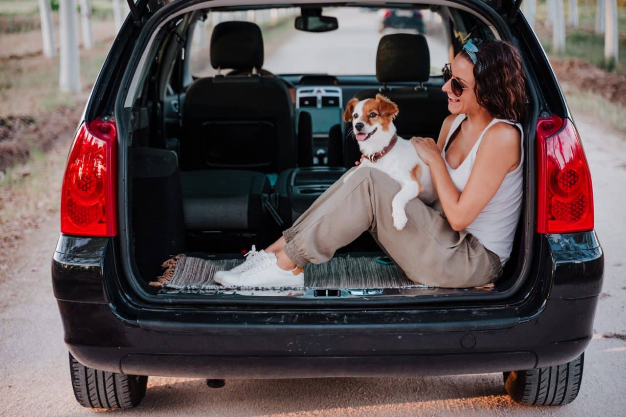 protection siege voiture avec chien