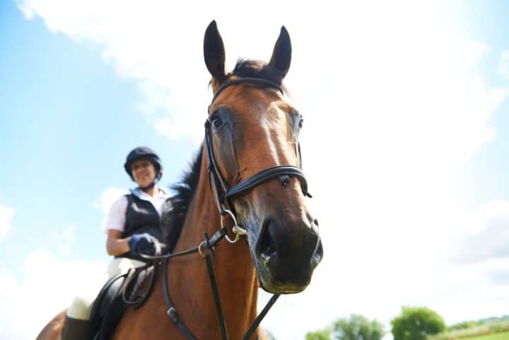 Monter a cheval et bien-etre