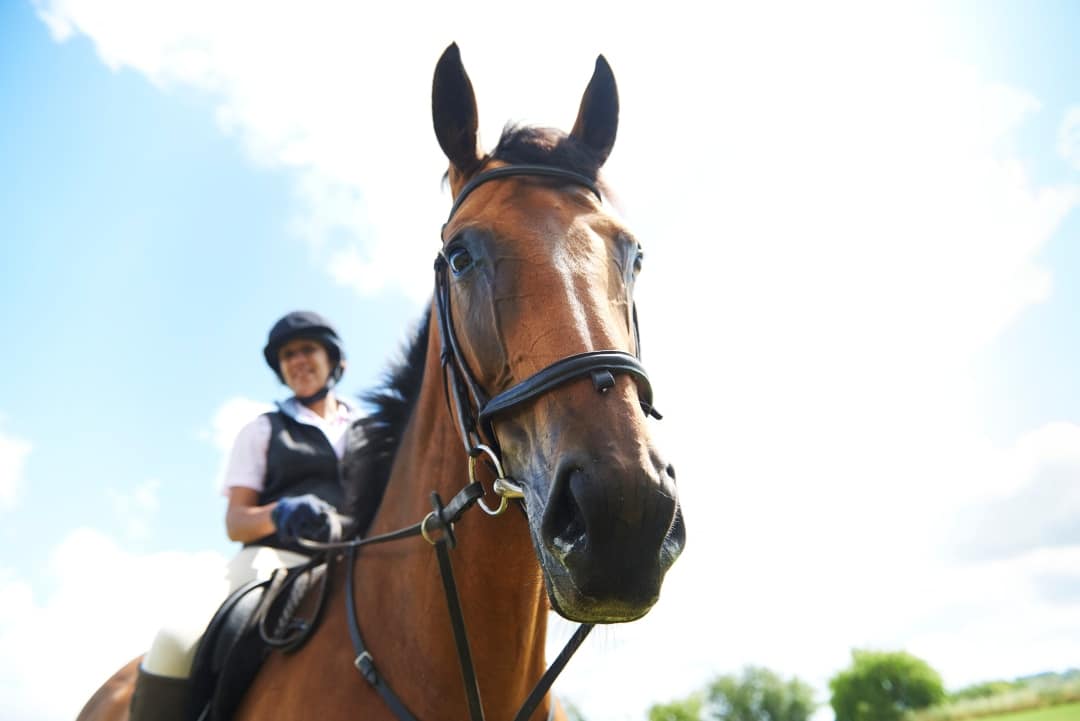 Monter a cheval et bien-etre